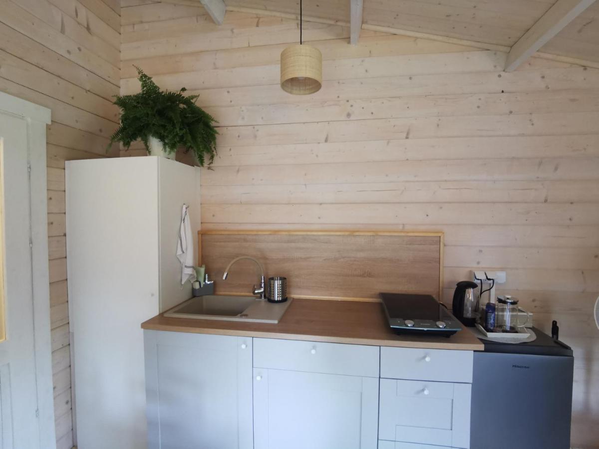 Domek Caloroczny Na Wylacznosc Niebieska Osada Nad Gorskim Potokiem Stary Waliszow Exterior photo